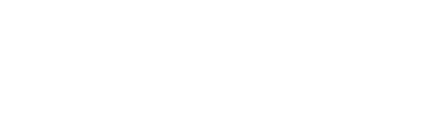 the-first-logo
